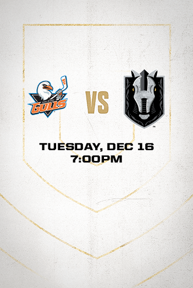 Silver Knights vs Gulls