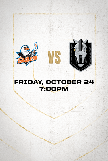 Silver Knights vs Gulls
