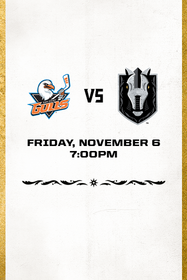 Silver Knights vs Gulls