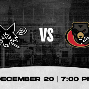 Desert Dogs vs Black Bears