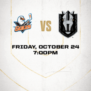 Silver Knights vs Gulls