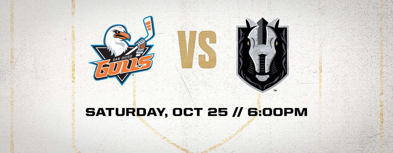Silver Knights vs Gulls