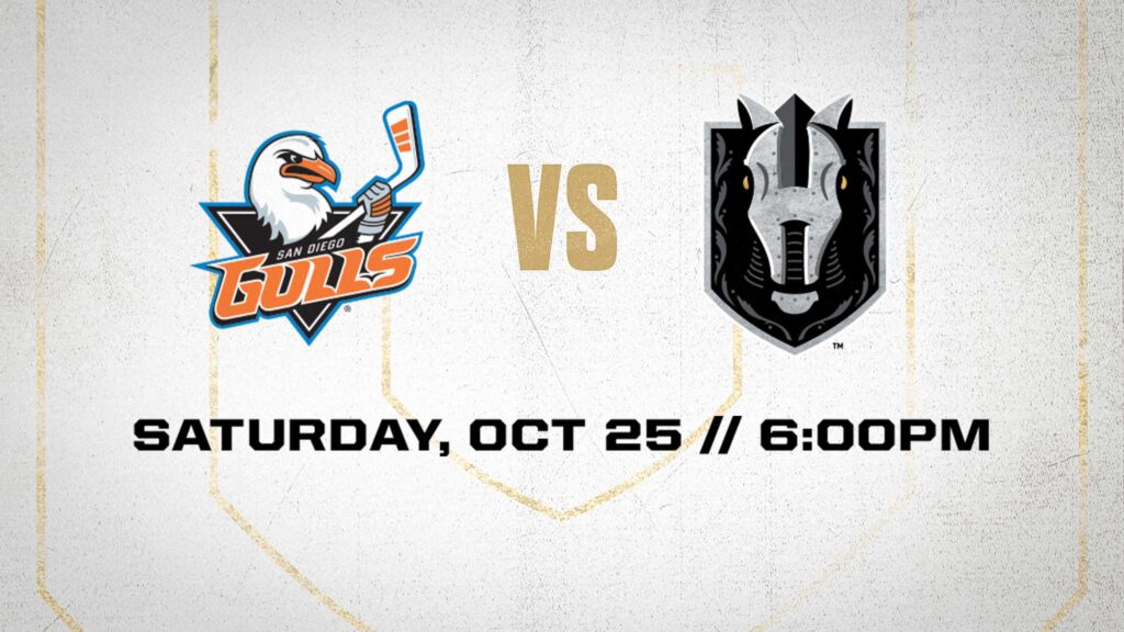 Silver Knights vs Gulls