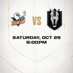 Silver Knights vs Gulls
