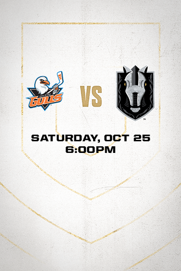 Silver Knights vs Gulls