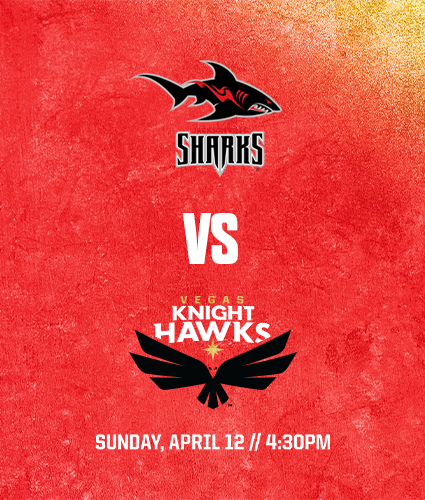 Knight Hawks vs Sharks